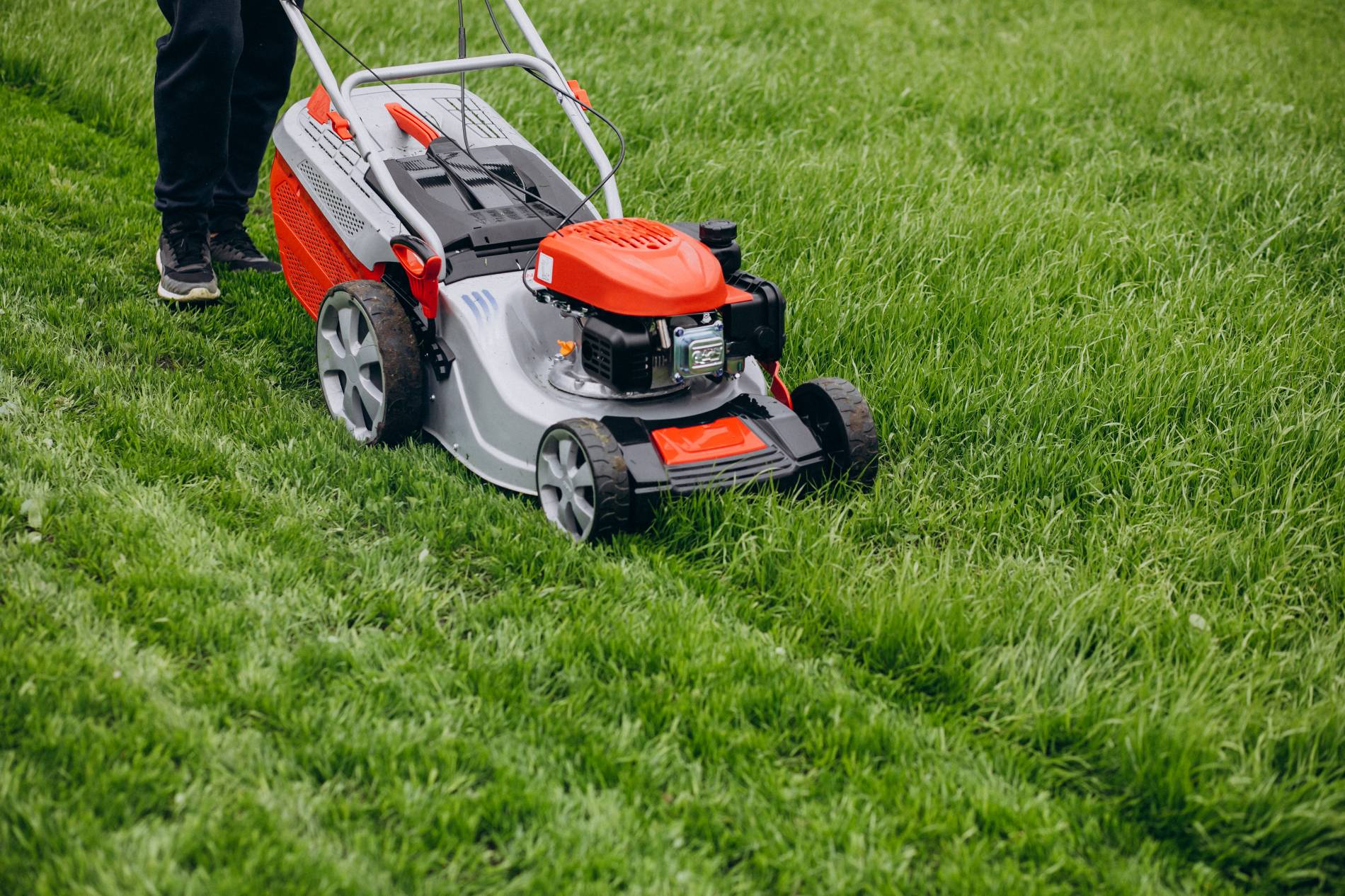 Tonte de pelouse Tonte d’une pelouse avec une tondeuse pour l’entretien du jardin